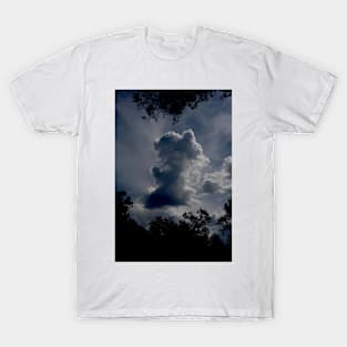 Storm Cloud T-Shirt